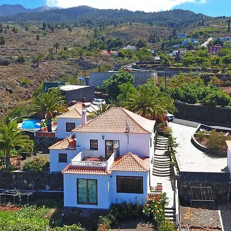 Palmeras C *
