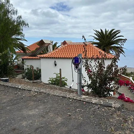 Palmeras C