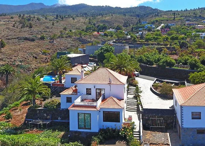Palmeras C *