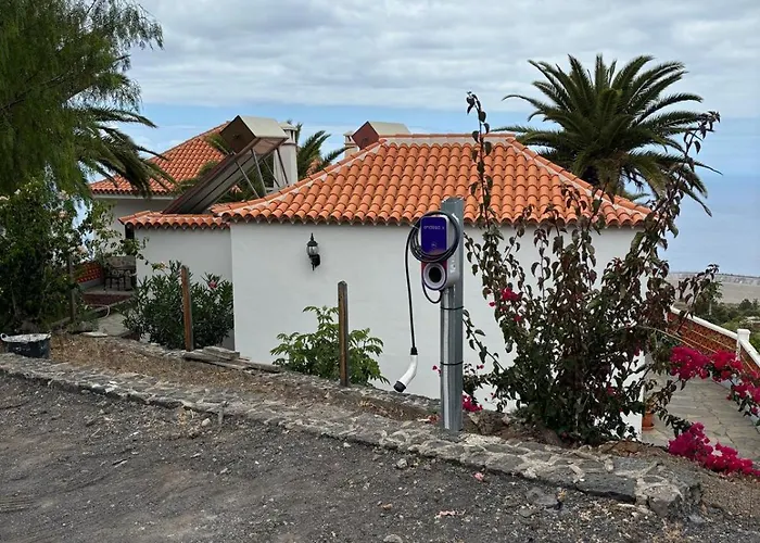 Palmeras C